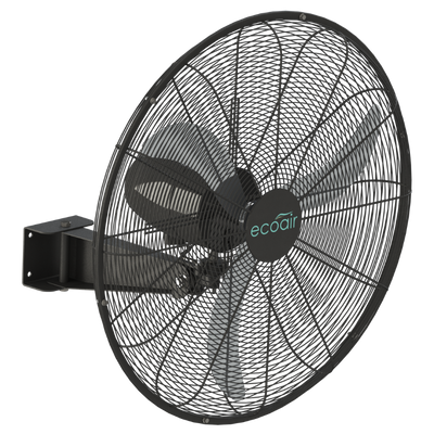 BLDC wall-mounted fan